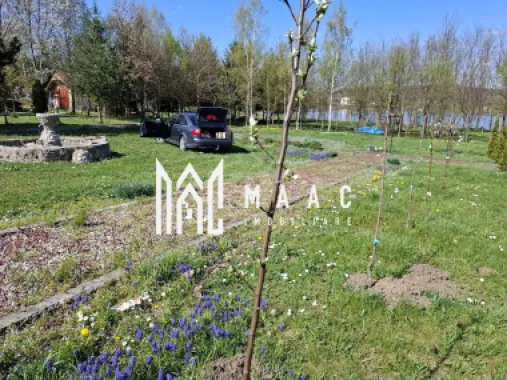 Teren Intravilan | 1150 mp | Săliște