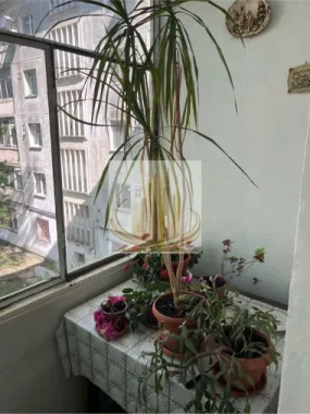 🏡Ap Sagului 3 camere