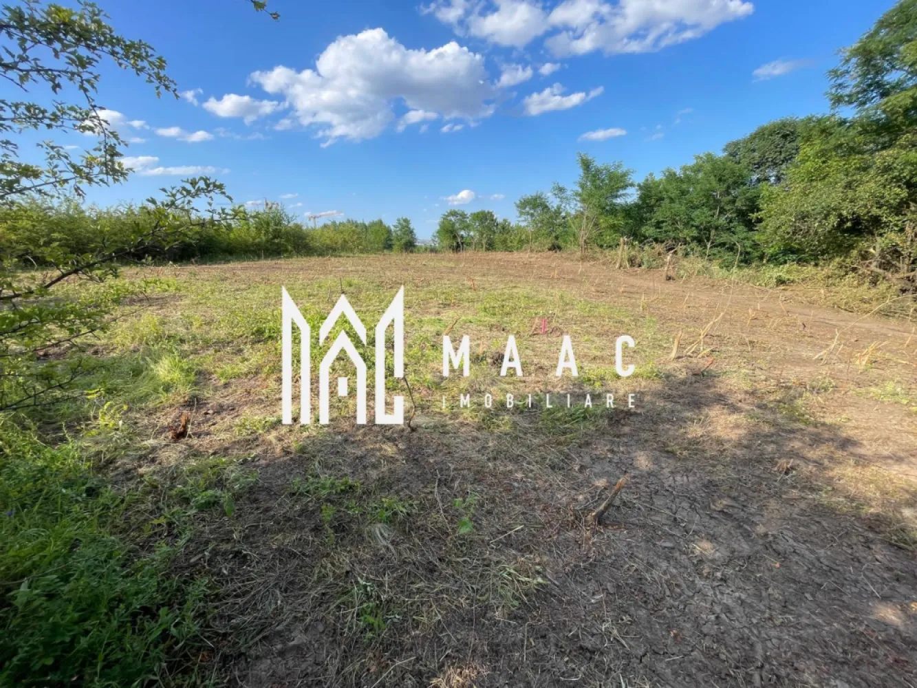 Oportunitate de Investiție Strategică | Teren Intravilan | Colonia Becas - MAAC Imobiliare vă prezintă o excelentă oportunitate de investiție, un teren intravilan de mari dimensiuni, ideal pentru dezvoltări rezidențiale sau proiecte de anvergură, situat în zona cu potențial crescut Colonia Becas. Detalii Cheie ale Proprietății Suprafață Totală: 10.305 mp – o suprafață generoasă care permite viziuni de dezvoltare ample și scalabile. Regim Juridic: Intravilan (conform documentației cadastrale). Localizare: Colonia Becas – zonă recunoscută pentru liniște, aflată într-un ritm accelerat de dezvoltare și cu acces facil la infrastructura urbană. Avantaje Competitive și Certitudini Potențial de Dezvoltare Maxim: Terenul se vinde fără Plan Urbanistic Zonal (PUZ) aprobat, oferind astfel viitorului investitor libertatea totală de a concepe și implementa un proiect de la zero, optimizat conform cerințelor pieței și viziunii proprii. Certitudine Infrastructură Gaz: Prin confirmarea oficială de la Transgaz, se elimină orice risc sau servitute majoră legată de traversarea magistralelor de gaz, asigurând un proces de urbanizare predictibil și eficient. Accesibilitate: Accesul către proprietate este facil, facilitând logistica șantierului și integrarea rapidă în circuitul de transport. Stare Juridică: Documentația este completă, actualizată și pregătită pentru tranzacție imediată, asigurând o finalizare rapidă și sigură a vânzării. Concluzie Acest teren reprezintă o achiziție strategică pentru dezvoltatorii care doresc să capitalizeze pe expansiunea zonei Becas, având la dispoziție o suprafață extinsă și premise clare pentru obținerea avizelor necesare. Pentru analiză aprofundată, documentație completă și programarea unei vizionări, vă rugăm să contactați direct MAAC Imobiliare specificând ID : CP2790415 }}