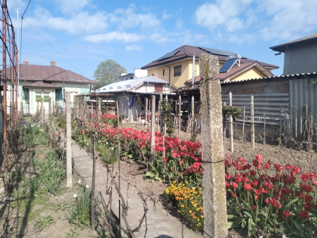 Casa de vanzare Oltenita - Casa la curte in orasul Oltenita, Strada Cuza Voda, Nr.174, jud Calarasi. Toate actele la zi.Doua corpuri de cladire. Unul cu suprafata utila 70mp si altul cu suprafata utila 46mp + anexe gospodaresti, garaje. Toate utilitatile.Teren curte 800 mp - gradini, vie, bolti.In proximitate scoli, gradinite, licee, parcuri, piete agroalimentare, magazine, fiind aproape de centrul orasului.tel 0771713768 }}