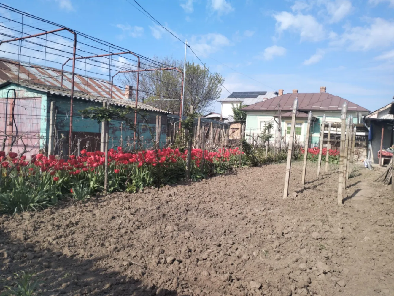 Casa de vanzare Oltenita - Casa la curte in orasul Oltenita, Strada Cuza Voda, Nr.174, jud Calarasi. Toate actele la zi.Doua corpuri de cladire. Unul cu suprafata utila 70mp si altul cu suprafata utila 46mp + anexe gospodaresti, garaje. Toate utilitatile.Teren curte 800 mp - gradini, vie, bolti.In proximitate scoli, gradinite, licee, parcuri, piete agroalimentare, magazine, fiind aproape de centrul orasului.tel 0771713768 }}