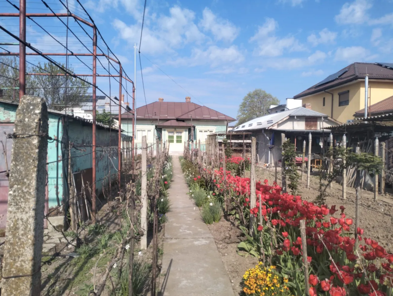 Casa de vanzare Oltenita