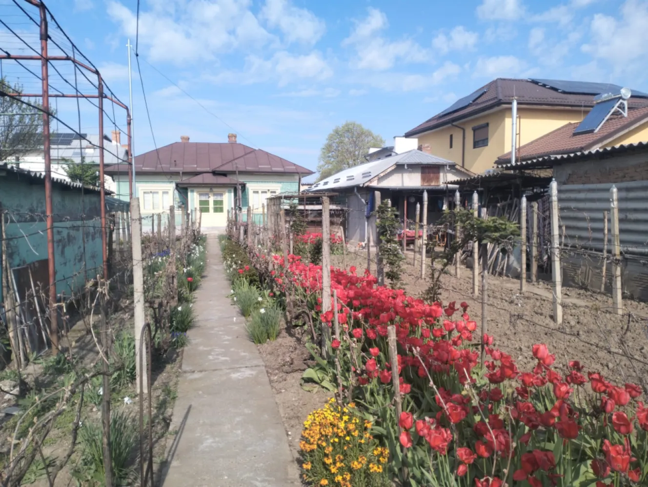 Casa de vanzare Oltenita