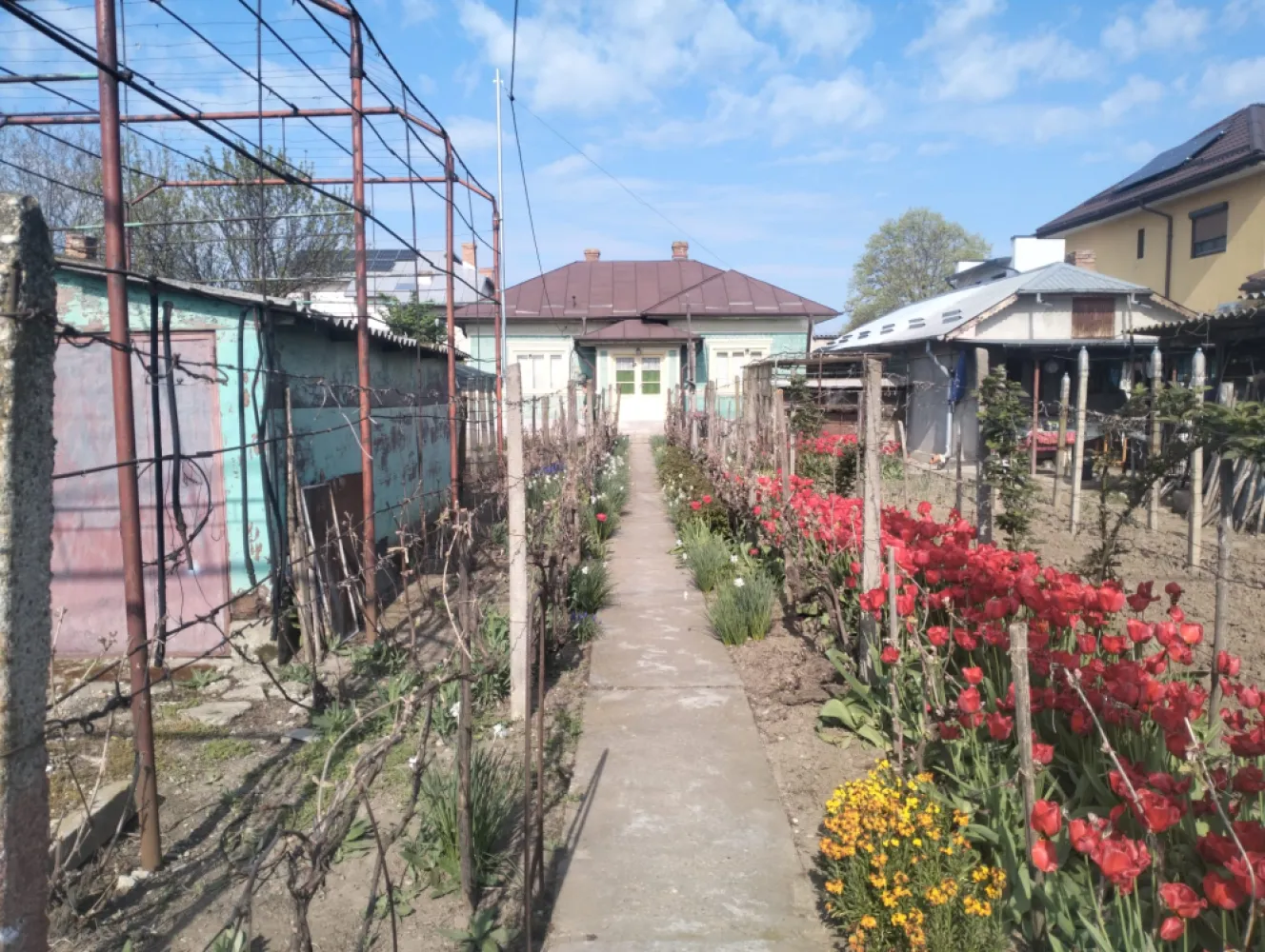 Casa de vanzare Oltenita