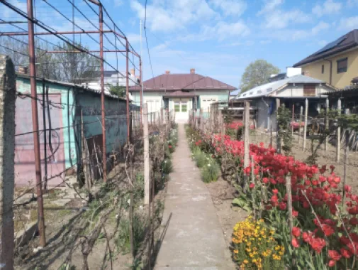 Casa de vanzare Oltenita