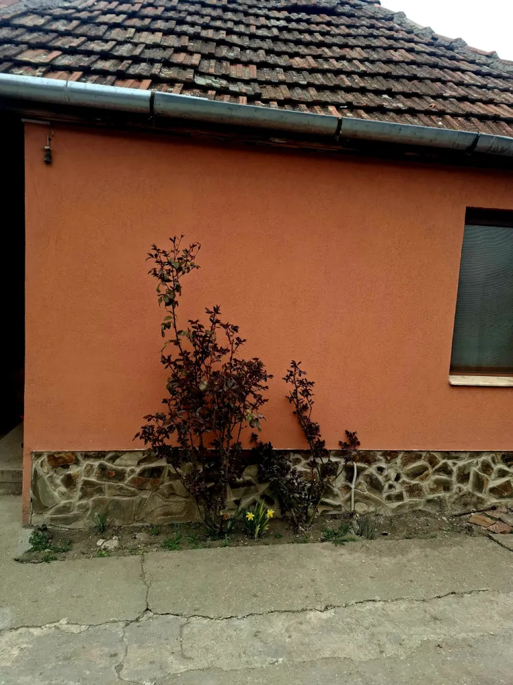 Oportunitate casă de vânzare Vladimirescu teren generos  1168 mp - Casă cu teren generos 1168 mp în Vladimirescu! Direct proprietarO proprietate, situată într-un cartier vechi și liniștit din Vladimirescu, ideală pentru cei care își doresc spațiu, intimitate și posibilitatea de a-și amenaja casa exact după propriul gust.Teren generos de 1168 mp – perfect pentru grădină, relaxare sau extindereSuprafață construită 140 mp utilă 100 mpCompartimentare practică:3 camere luminoasebucătăriebaiecămară de alimentebeciterasă acoperităConfort și utilități:toate utilitățile: curent, gaz, canalizarecentrală termică + caloriferegeamuri termopanparchetImportant: casa necesită renovare (acoperișul trebuie schimbat), oferindposibilitatea de personalizare după preferințe.Situată intr-o zonă liniștită, casa beneficiază de acces rapid la transport public, în apropiere se află grădinițe, magazine și parcuri pentru copii!Nu rata ocazia de a viziona această proprietate!Preț: 115000 € (negociabil) telefon 0741187123Direct proprietar – fără comision