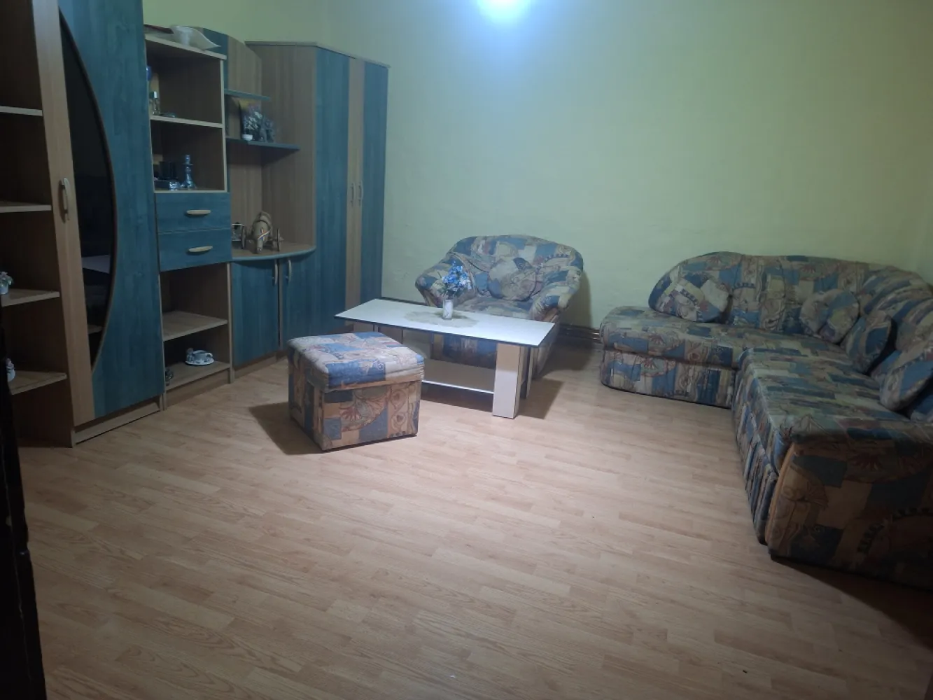 Oportunitate casă de vânzare Vladimirescu teren generos  1168 mp