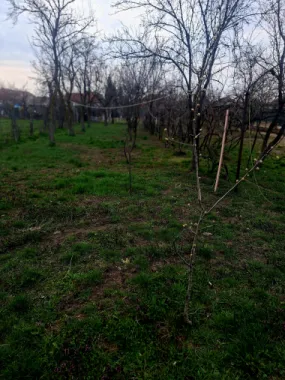 Oportunitate casă de vânzare Vladimirescu teren generos  1168 mp