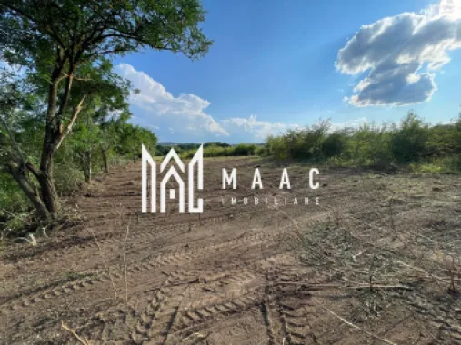 Oportunitate de Investiție Strategică | Teren Intravilan | Colonia Becas