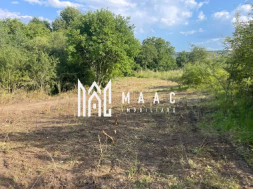 Oportunitate de Investiție Strategică | Teren Intravilan | Colonia Becas