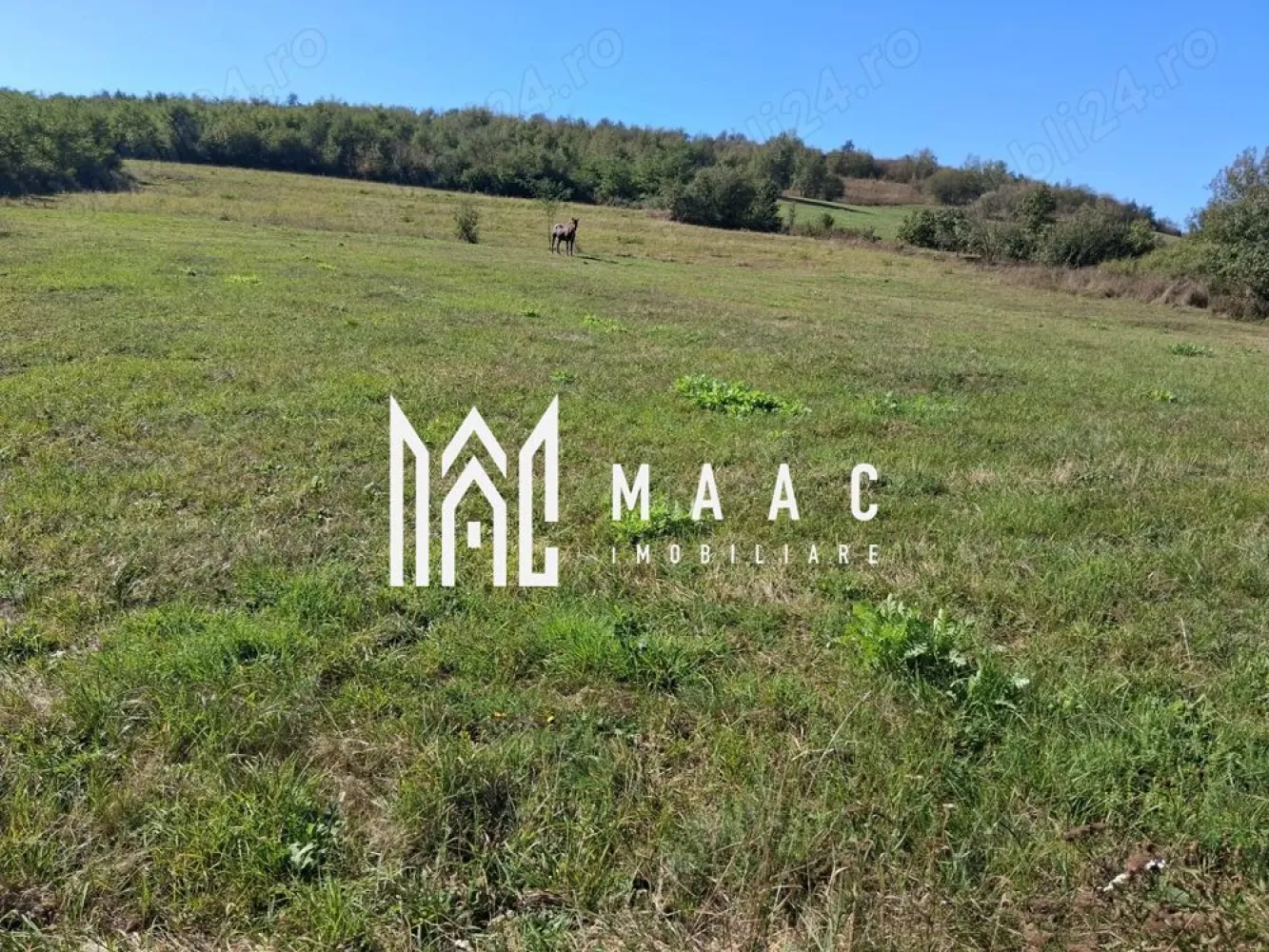 Teren | 3.600 mp | Ariușd | Lângă Olt | 25 km de Brașov - Se oferă spre vânzare teren cu suprafața de 3.600 mp, situat în localitatea Ariușd, la doar 5 km de Bod și aproximativ 25 km de Brașov. Terenul este amplasat într-o zonă liniștită, în apropierea râului Olt, ideal pentru construcție casă de vacanță, locuință permanentă sau investiție. Caracteristici: Suprafață: 3.600 mp Zonă aerisită, cu potențial de dezvoltare Acces facil din drum principal Cadru natural plăcut Preț: 3 €/mp }}