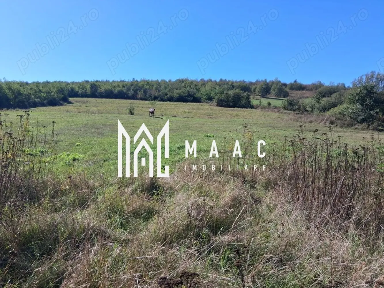 Teren | 3.600 mp | Ariușd | Lângă Olt | 25 km de Brașov - Se oferă spre vânzare teren cu suprafața de 3.600 mp, situat în localitatea Ariușd, la doar 5 km de Bod și aproximativ 25 km de Brașov. Terenul este amplasat într-o zonă liniștită, în apropierea râului Olt, ideal pentru construcție casă de vacanță, locuință permanentă sau investiție. Caracteristici: Suprafață: 3.600 mp Zonă aerisită, cu potențial de dezvoltare Acces facil din drum principal Cadru natural plăcut Preț: 3 €/mp }}