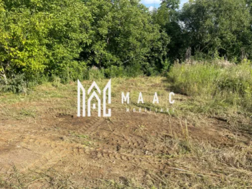 Oportunitate de Investiție Strategică | Teren Intravilan | Colonia Becas