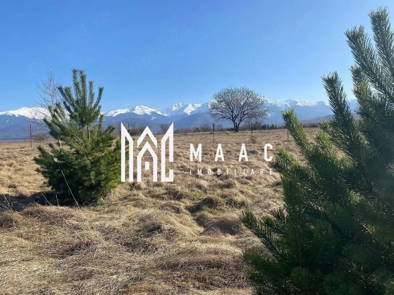 Teren Intravilan | 1000 MP | Valea Avrigului - MAAC vă propune spre vânzare un teren deosebit, situat în Valea Avrigului, într-o zonă turistică apreciată, cu priveliște spectaculoasă către Munții Făgăraș.

Terenul are o suprafață de 1000 mp și reprezintă o oportunitate excelentă atât pentru investiție, cât și pentru construirea unei case de vacanță sau a unei pensiuni.

Caracteristici și avantaje:

-fântână proprie cu debit mare de apă
-curent trifazic disponibil
-teren împrejmuit
-acces la drum privat (cotă parte inclusă în preț)
-posibilitate de racordare la gaz
-certificat de urbanism – pregătit pentru dezvoltare

Localizare:

-la aproximativ 3 minute de Panoramik Dino Park
-la circa 5 minute de Brambura Park (Casa Întoarsă)
-acces facil către viitoarea autostradă (aprox. 5 minute), ceea ce va contribui la creșterea valorii zonei

Zona este liniștită, cu un potențial turistic ridicat, fiind ideală pentru construcția unei cabane, pensiuni sau case de vacanță, dar și pentru o investiție sigură pe termen lung.

Pentru mai multe detalii și programarea unei vizionări, vă rugăm să ne contactați telefonic și să menționați : CP3046672