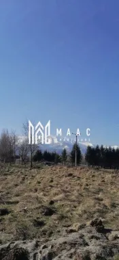 Teren Intravilan | 1000 MP | Valea Avrigului