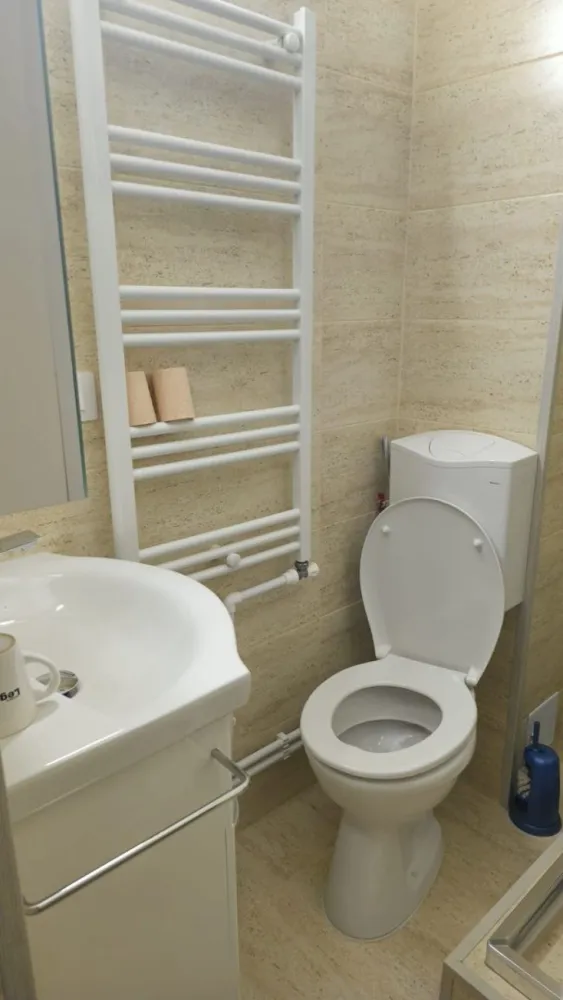 Garsonieră de închiriat – ideală pentru birou/cabinet, Țiglina 1