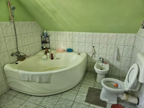Casă 2 familii / firmă + livadă Satu Mare - Cionchești