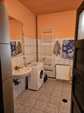 Casă 2 familii / firmă + livadă Satu Mare - Cionchești
