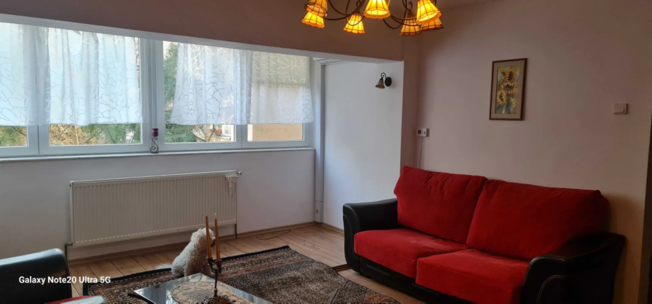 BRASADAS vinde ap 3 cam Careiului. - Agentia imobiliara BRASADAS vinde apartament mare, luminos, si gata de mutat, de 78 mp utili, situat la etajul 1, intr-o zona unde ai TOT ce ai nevoie la doi pasi, construit solid din BCA. - apartament uscat, cald, luminos - centrala proprie schimbata acum 2 ani - instalatie electrica refacuta - parchet melaminat peste parchetul original - pereti exteriori doar pe zonele cu ferestre, izolati exterior - aer conditionat - beci generos pentru depozitare - chicineta la etaj - spatiu comun super util - dulap metalic in fata usii - extra depozitare - bloc cu farmacie si alimentara la parter - zona plina de magazine, banci, pub-uri la cateva minute - scoala , gradinita, spitalul judetean in apropiere Www.brasadas.com. }}