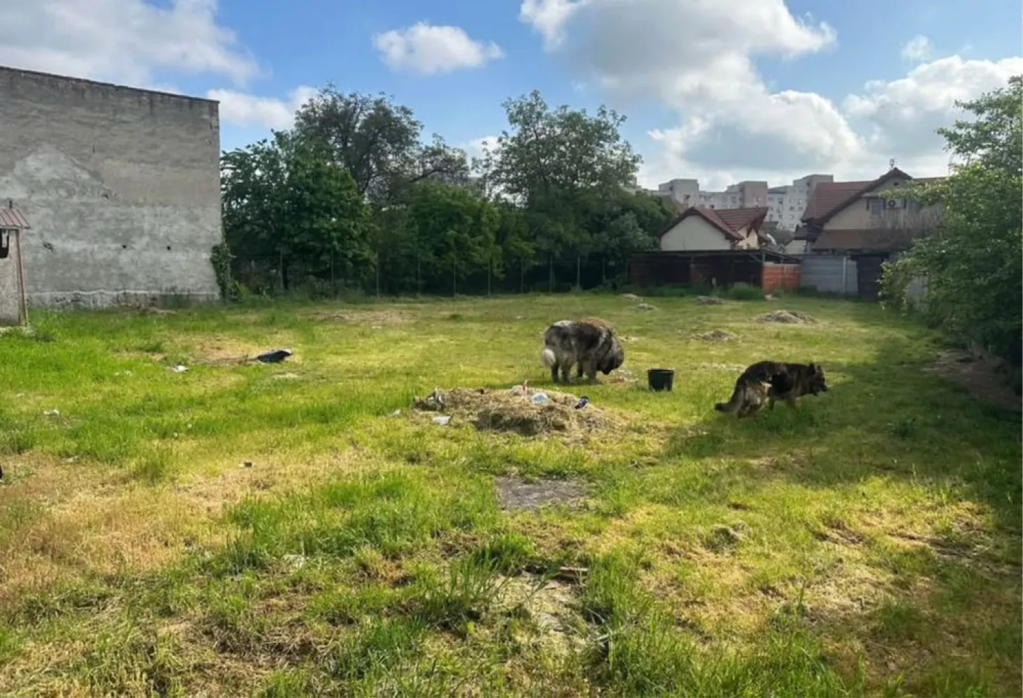 BRASADAS vinde teren in zona Soarelui. - Agentia imobiliara BRASADAS vinde teren intravilan având suprafața de 1.089 mp.cu o deschidere stradală de 36 m front. Dispune de toate utilitățile,pretabil pt. casă,casă tip duplex, clinică,sediu firmă,asociație. Proiect casa aprobat Www.brasadas.com. }}