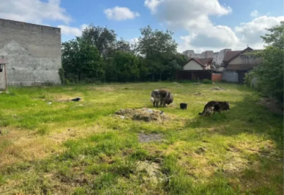 BRASADAS vinde teren in zona Soarelui.