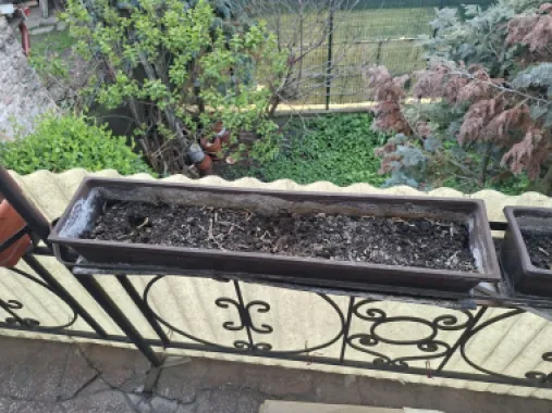 BRASADAS vinde apartament cu 3 camere la etaj in casă
