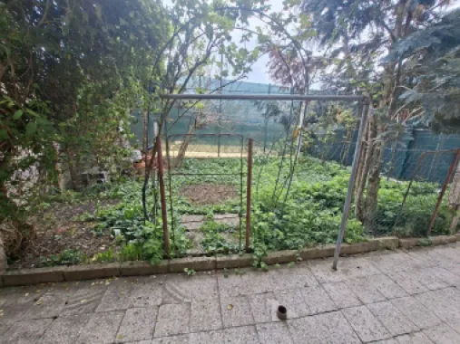 BRASADAS vinde apartament cu 3 camere la etaj in casă