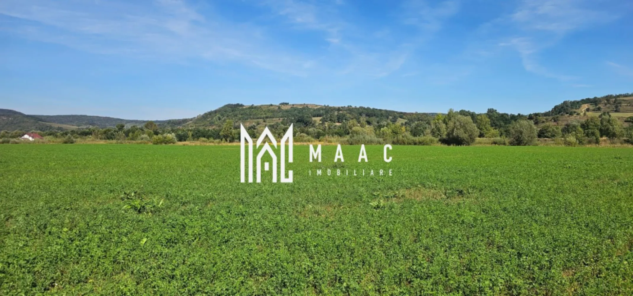 Teren 3.500 mp | Lângă canalul Oltului | Porumbacu de Jos - MAAC Imobiliare vă propune spre vânzare un teren cu o suprafață de 3.500 mp, situat în localitatea Porumbacu de Jos, într-o zonă liniștită, în imediata apropiere a canalului de fugă al Oltului. Detalii teren: Suprafață totală: 3.500 mp Deschidere: peste 22 m Lungime: aproximativ 150 m Teren plan, ușor accesibil Primii aproximativ 20 m acoperiți cu salcii și vegetație spontană, restul cultivat cu lucernă Avantaje: Zonă ideală pentru pescari sau iubitorii de natură Loc sigur, fără risc de inundații Posibilitate de construire cabană, casă de vacanță sau amenajare baltă proprie Acces facil din drumul principal Pentru mai multe detalii specificati telefonic ID: CP2786288 }}