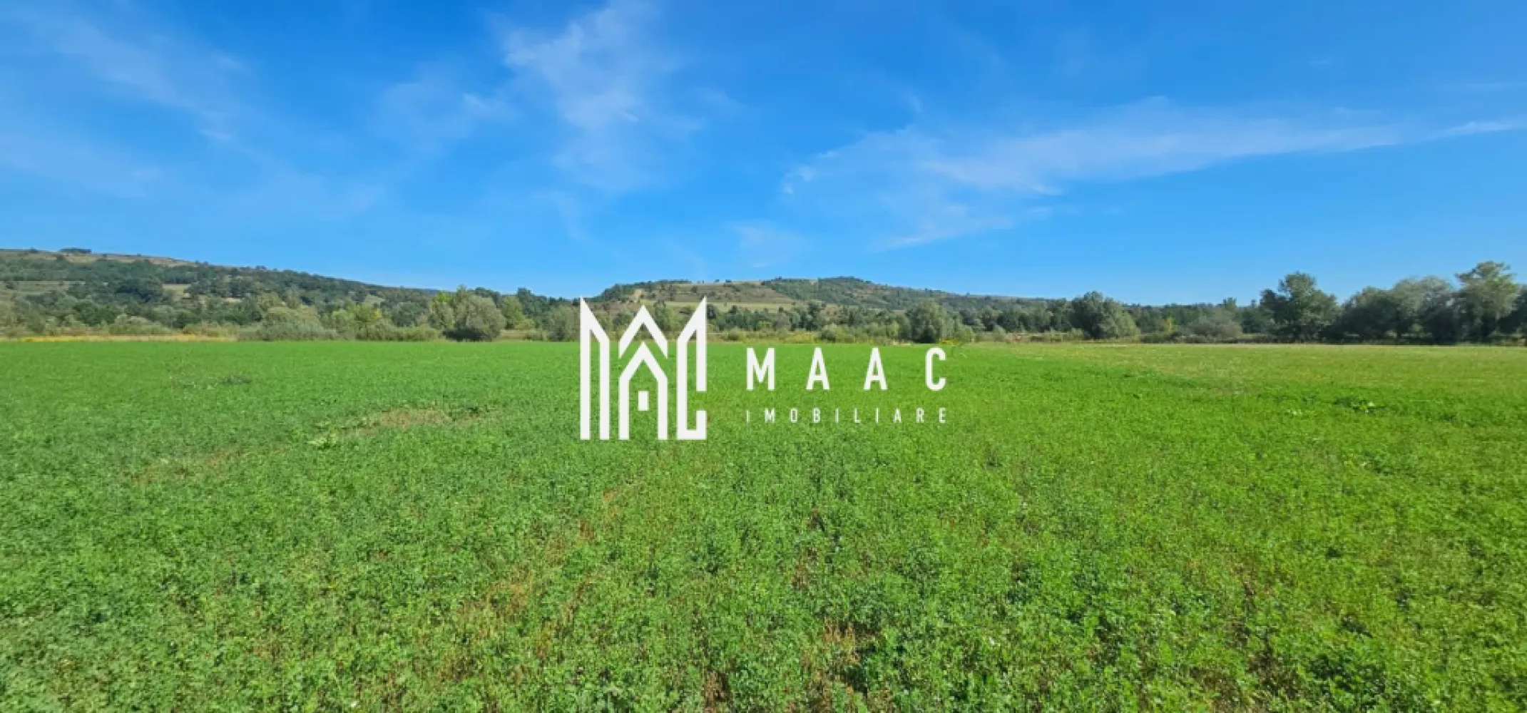 Teren 3.500 mp | Lângă canalul Oltului | Porumbacu de Jos - MAAC Imobiliare vă propune spre vânzare un teren cu o suprafață de 3.500 mp, situat în localitatea Porumbacu de Jos, într-o zonă liniștită, în imediata apropiere a canalului de fugă al Oltului. Detalii teren: Suprafață totală: 3.500 mp Deschidere: peste 22 m Lungime: aproximativ 150 m Teren plan, ușor accesibil Primii aproximativ 20 m acoperiți cu salcii și vegetație spontană, restul cultivat cu lucernă Avantaje: Zonă ideală pentru pescari sau iubitorii de natură Loc sigur, fără risc de inundații Posibilitate de construire cabană, casă de vacanță sau amenajare baltă proprie Acces facil din drumul principal Pentru mai multe detalii specificati telefonic ID: CP2786288 }}