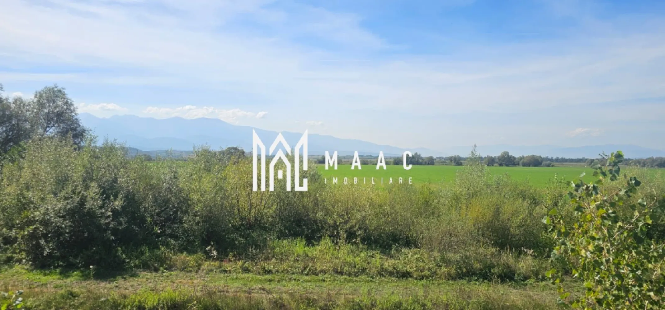 Teren 3.500 mp | Lângă canalul Oltului | Porumbacu de Jos - MAAC Imobiliare vă propune spre vânzare un teren cu o suprafață de 3.500 mp, situat în localitatea Porumbacu de Jos, într-o zonă liniștită, în imediata apropiere a canalului de fugă al Oltului. Detalii teren: Suprafață totală: 3.500 mp Deschidere: peste 22 m Lungime: aproximativ 150 m Teren plan, ușor accesibil Primii aproximativ 20 m acoperiți cu salcii și vegetație spontană, restul cultivat cu lucernă Avantaje: Zonă ideală pentru pescari sau iubitorii de natură Loc sigur, fără risc de inundații Posibilitate de construire cabană, casă de vacanță sau amenajare baltă proprie Acces facil din drumul principal Pentru mai multe detalii specificati telefonic ID: CP2786288 }}