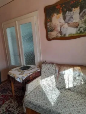 BRASADAS vinde casa cu etaj, 4 camere, central, acces cu masina.