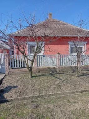 BRASADAS vinde casa in Ungaria