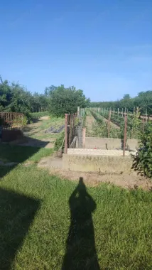 Casa de vanzare in Ungaria aproape de granita