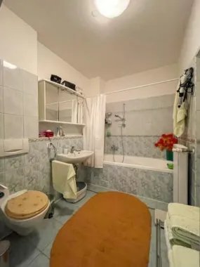 BRASADAS vinde casă tip D P M cu teren 17 ari in Bercu Roșu.