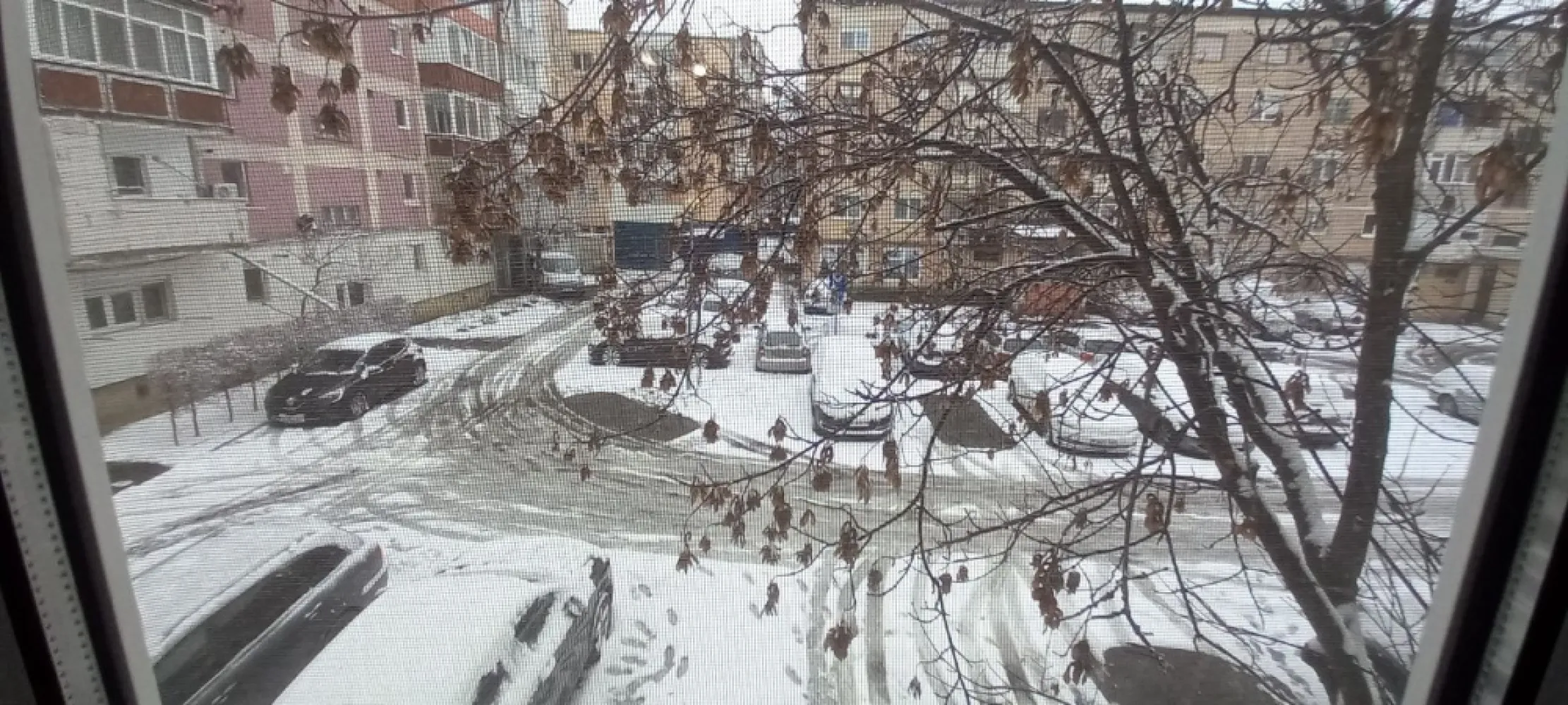 BRASADAS vinde ap 3 cam Micro 16, et. 1/4. - Agenția imobiliara BRASADAS vinde apartament 3 camere, decomandat, 2 băi, 1 balcon închis, 1 balcon deschis, etaj 1, în M 16, str. Rozmarin, Nr 2, Satu Mare, zonă foarte bună și liniștită, în apropiere exista stație de autobuz, mai multe parcuri, magazine, școală și grădiniță, loc de parcare pentru reședință, scara de bloc este îngrijită, nu sunt probleme cu vecinii. Se poate locui în starea actuală sau se poate renova după preferințele fiecăruia. Centrala termica este noua, mobilierul este din lemn masiv (se poate reconditiona), parchet din lemn masiv, 1 balcon închis cu termopan. Www.brasadas.com.