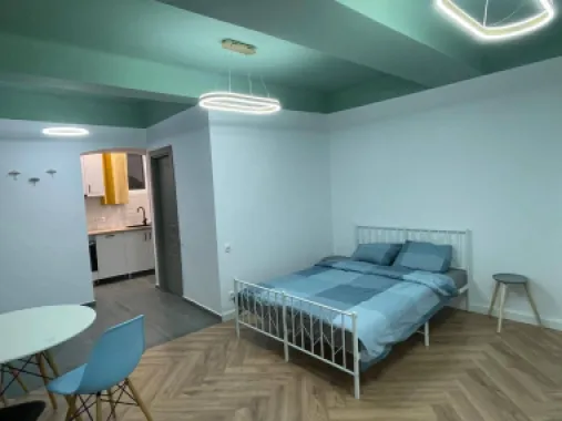 PF Vand Apartament 1 camera/Garsoniera demisol