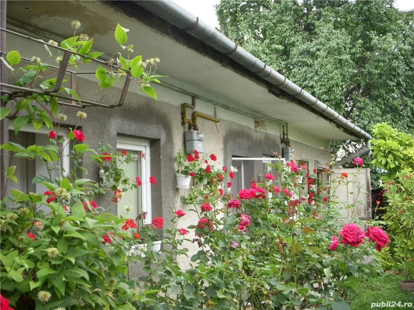 BRASADAS vinde casa singur in curte in zona semicentrala. - Agentia Imobiliara BRASADAS vinde casa in zona semicentrals, zona Abator - Parcul Feroviarilor, curte individuala 417mp, casa 113 mp, parter, mansardabila, finisata clasic, centrala termica, sobe teracota, parchet,etc. compusa din 4 camere, o baie, hol, bucatarie. Poate fi intrebuintata unifamiliala sau 2 apartamente separate. Www.brasadas.com.