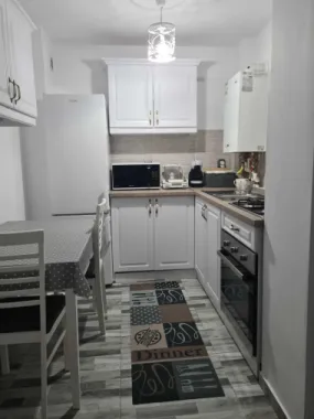 Apartament 2 camere de vanzare in Manastur, str. Grigore Alexandrescu