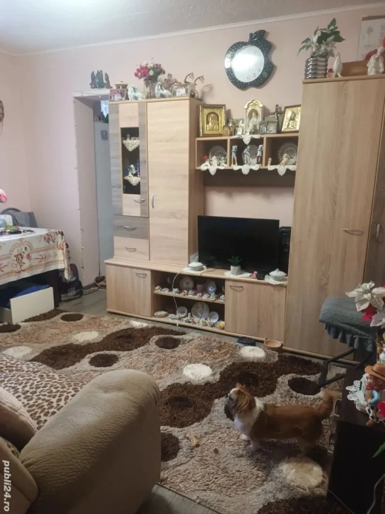 BRASADAS vinde ap 2 cam IRIS. - Agentia Imobiliara BRASADAS vinde apartament doua camere, bucătărie, baie, hol, camara, terasa , parcare, apartamentul se afla în cartierul Iris , aproape de Auchan, Mega , stațiile de autobuz și tramvai.