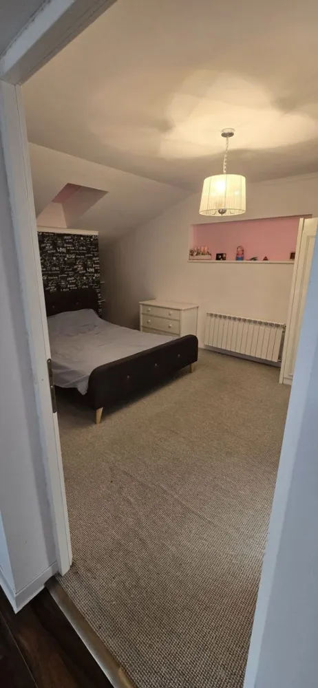 BRASADAS vinde casa tip P+M in Bercu Roșu.
