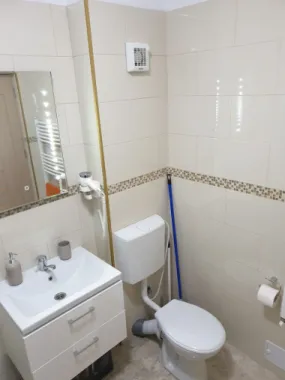 BRASADAS Inchiriaza Ap 2 camere, zona unirii