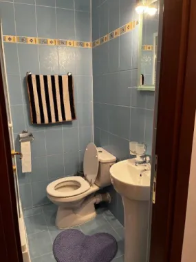 BRASADAS inchiriaza APARTAMENT cu 3 camere zona Mihai Bravu
