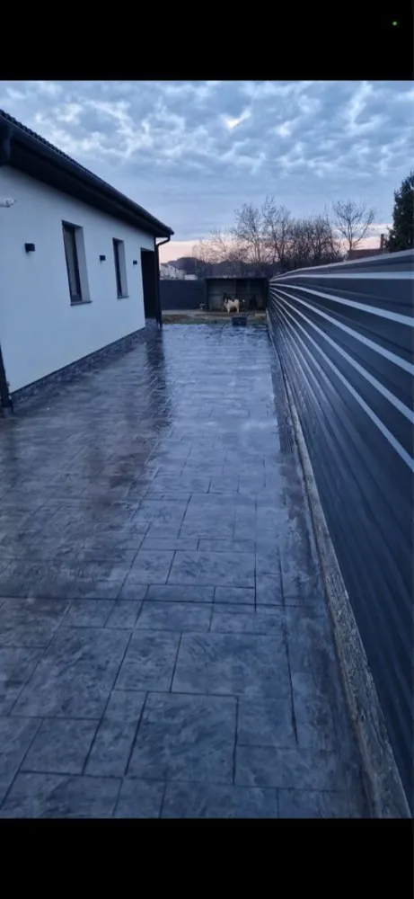 Vand casa str. Giulia ( odoreului )