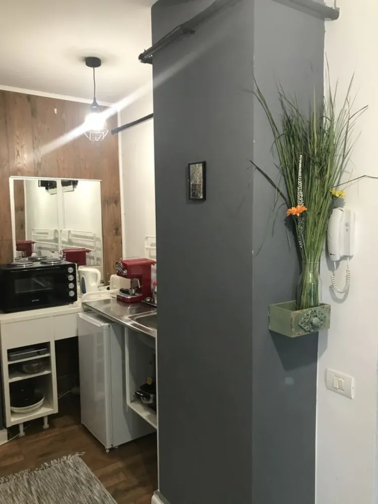 Splaiul Unirii, Mihai Bravu, parter in vila