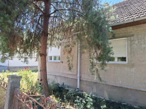 BRASADAS vinde casa 3 cam cu teren 5 ari in 14 Mai.