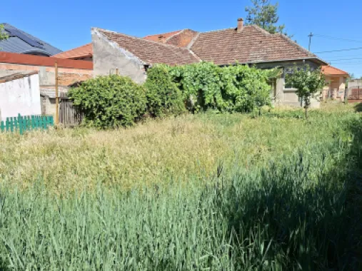 BRASADAS vinde casa 3 cam cu teren 5 ari in 14 Mai.