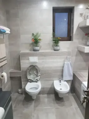 Casa de vânzare -confort, spațiu și relaxare ,Satu Mare,str Amurgului