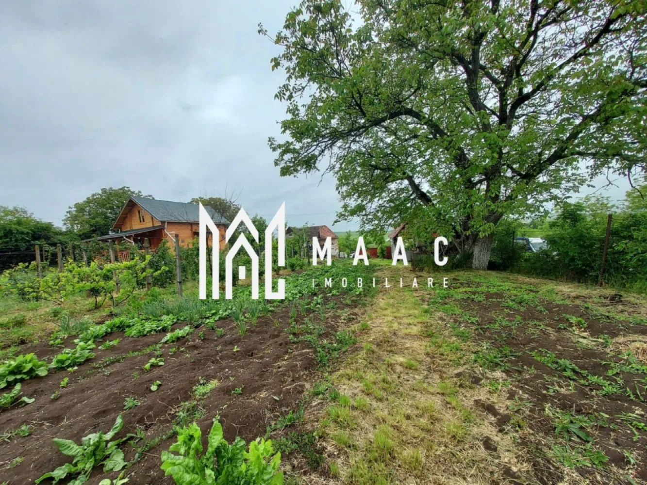 Black Friday | Casa | 1331 mp Teren | Miercurea Sibiului |