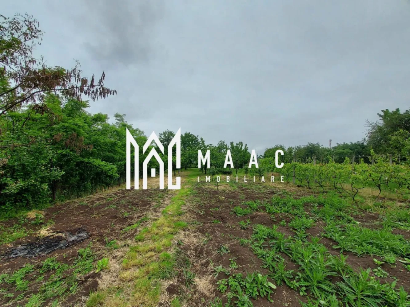 Black Friday | Casa | 1331 mp Teren | Miercurea Sibiului |