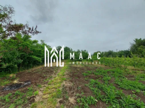 Black Friday | Casa | 1331 mp Teren | Miercurea Sibiului |